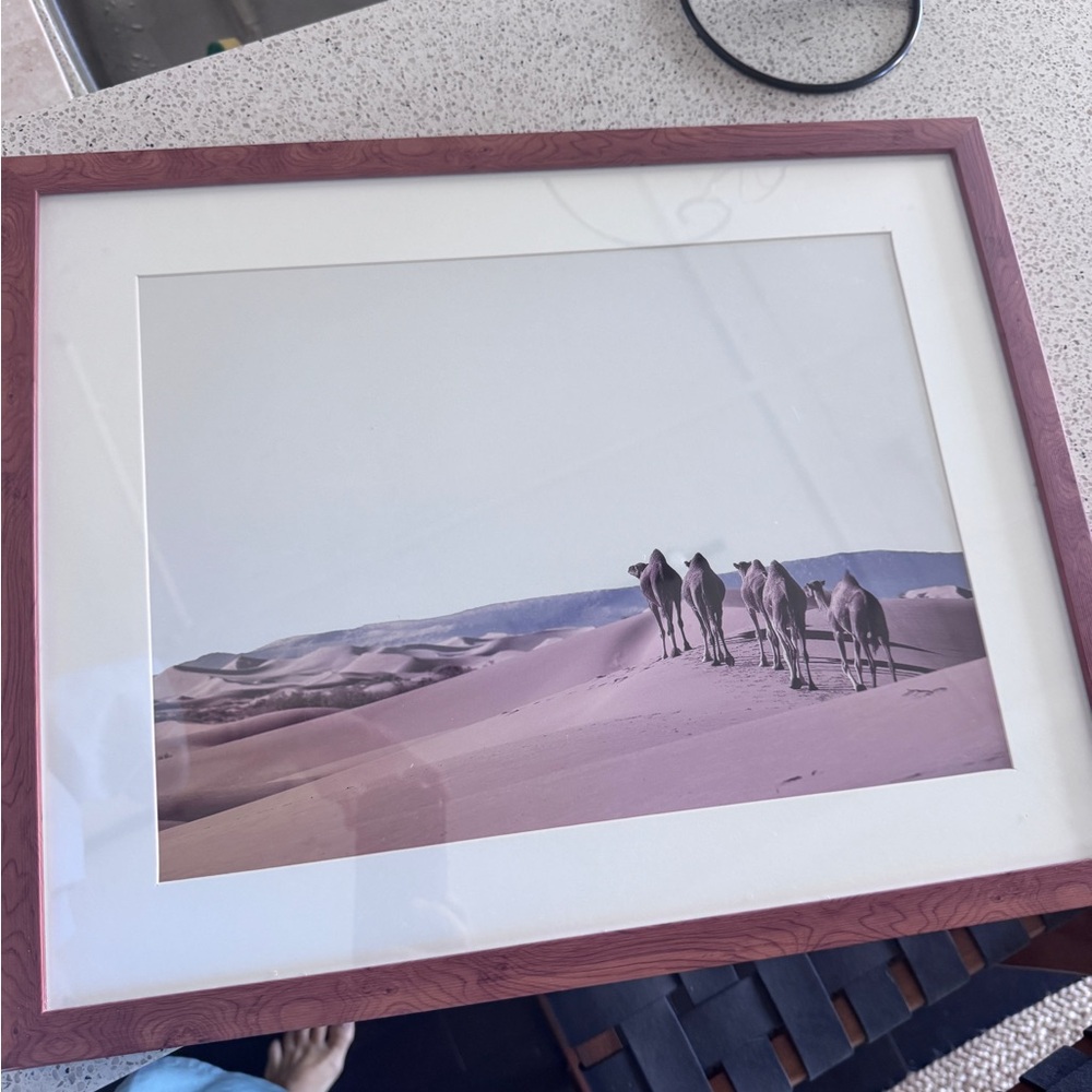 Framed Camel Desert Art Print 16” x 20”